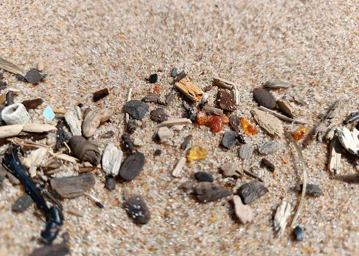 公寓 Sea Gate 20th Floor 克莱佩达